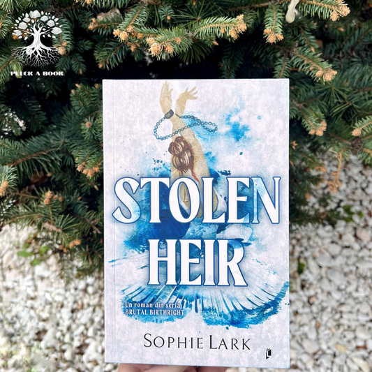 THE STOLEN HEIR by Holly Black