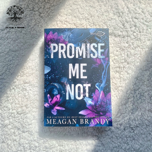 PROMISE ME NOT: Boys Of Avix Series (Book 2) by Meagan Brandy