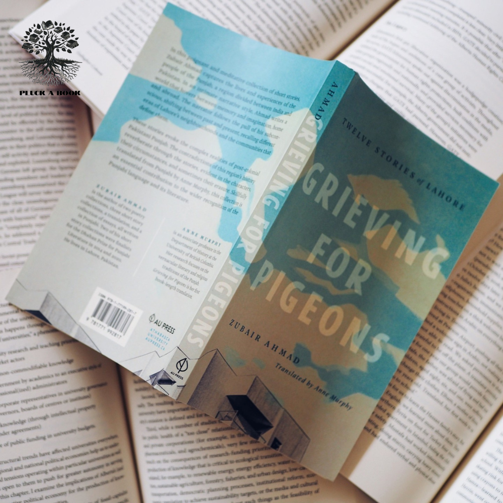 GRIEVING FOR PIGEONS by Zubair Ahmad