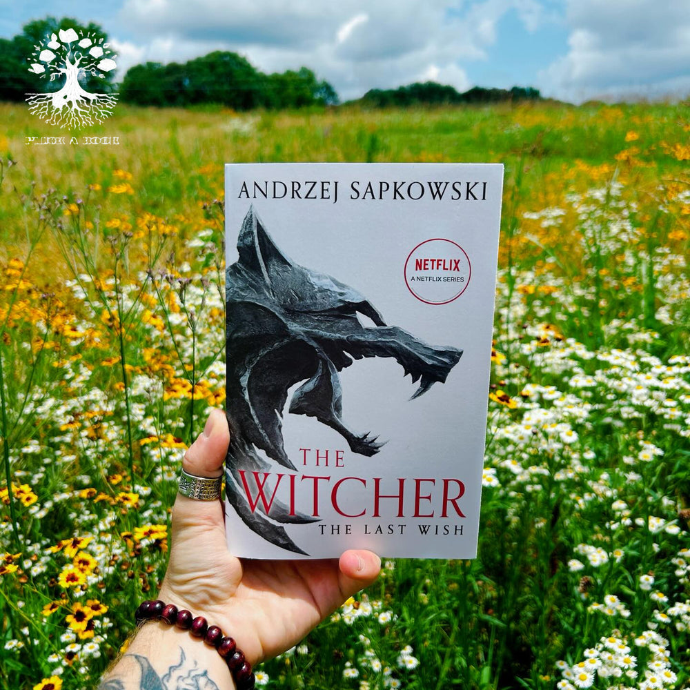 THE LAST WISH: Witcher Series Short Stories by Andrzej Sapkowski
