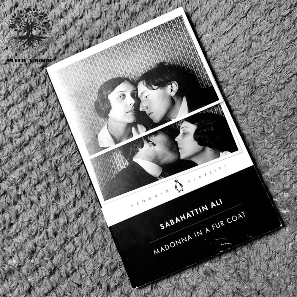 MADONNA IN A FUR COAT  by Sabahattin Ali