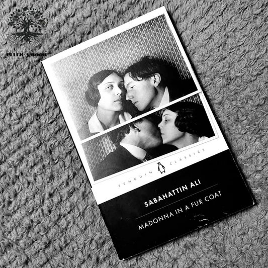 MADONNA IN A FUR COAT  by Sabahattin Ali