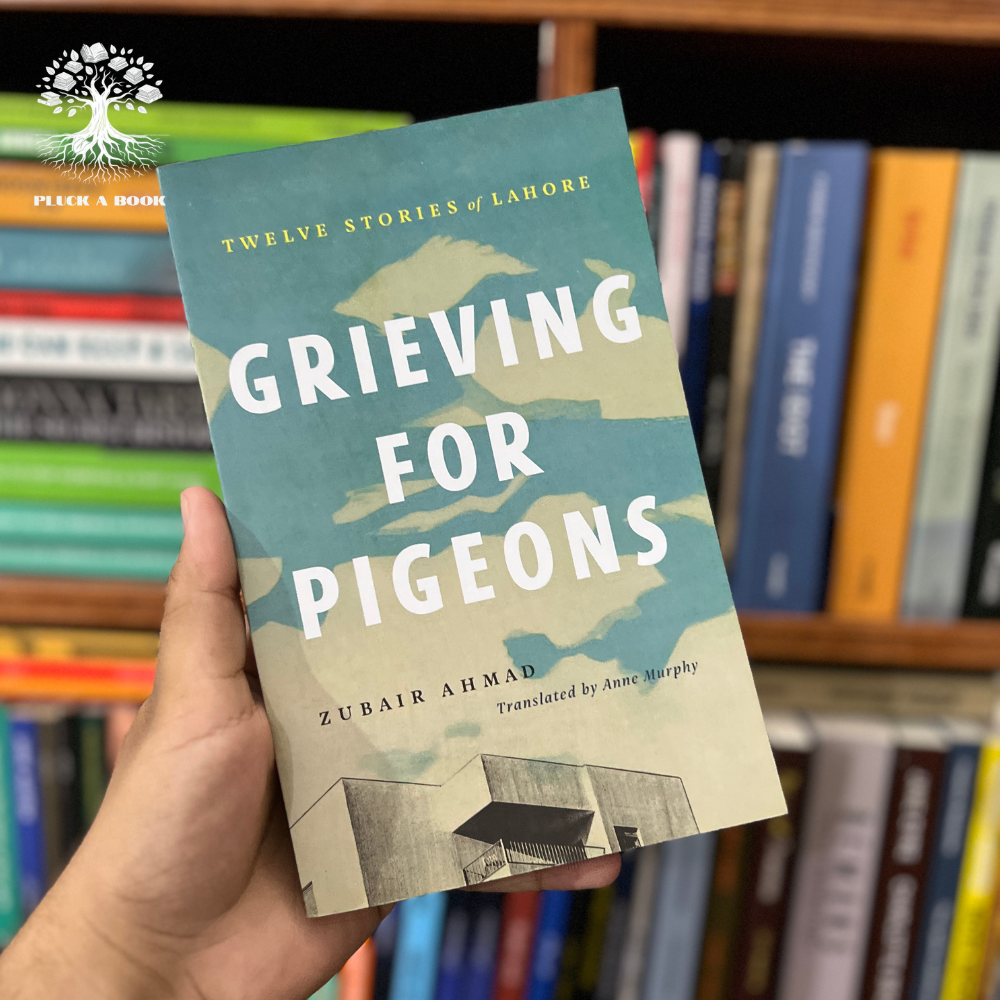 GRIEVING FOR PIGEONS by Zubair Ahmad