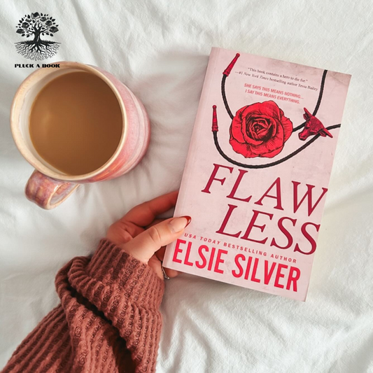 FLAWLESS: Chestnut Springs series (Book 1) by Elsie Silver