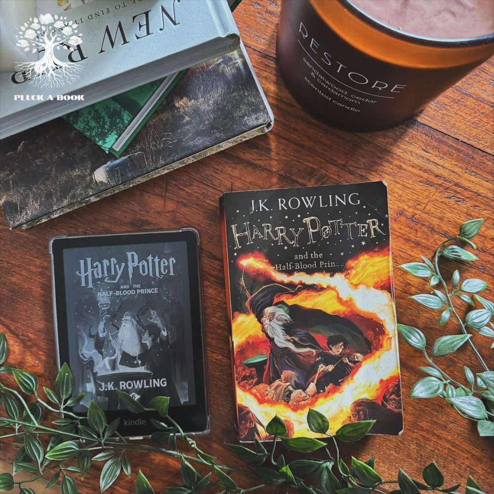 HARRY POTTER AND THE HALF BLOOD PRINCE: Harry Potter series (Book 6) by J.K. Rowling