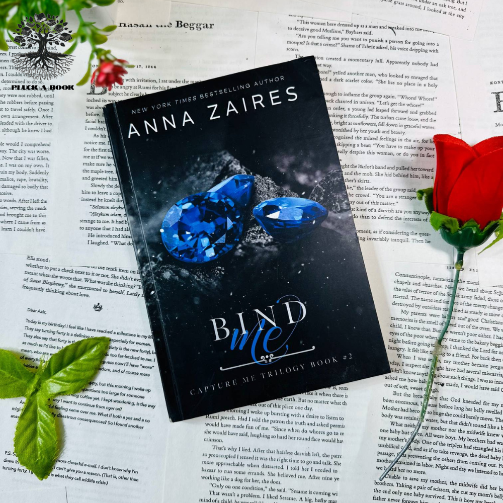 BIND ME: CAPTURE ME 2 by Anna Zaires