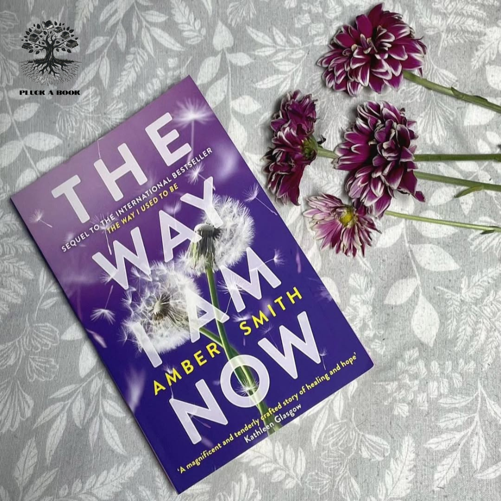 THE WAY I AM NOW: The Way I Used To Be series(Book 2) by Amber Smith