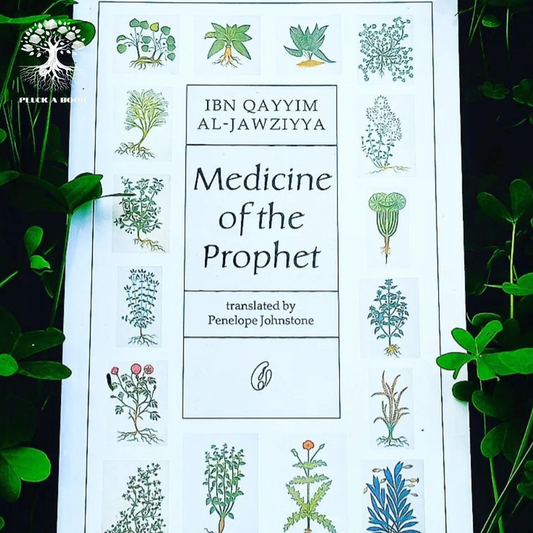 MEDICINE OF THE PROPHET (P.b.u.h) by Ibn Qayyim Al-Jawziyya