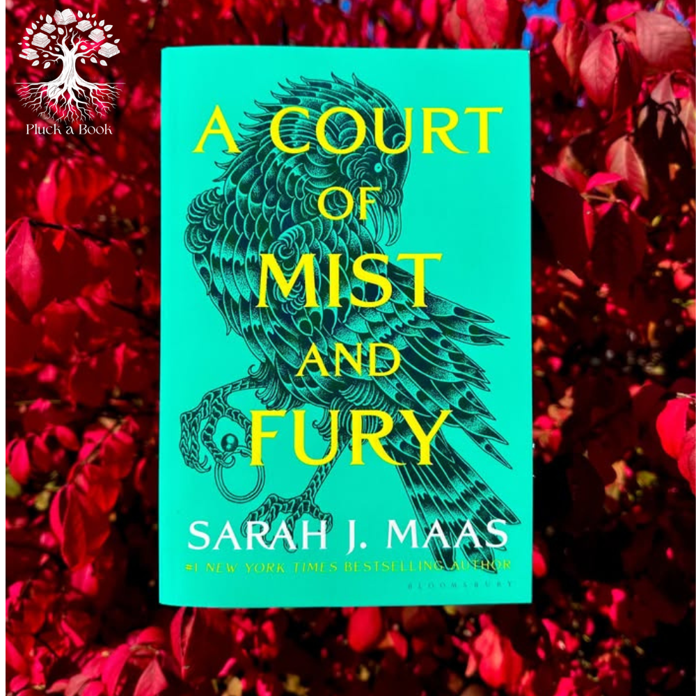 A COURT OF MIST AND FURY: Court Of Thorns And Roses Trilogy series (Book 2) by Sarah J. Maas
