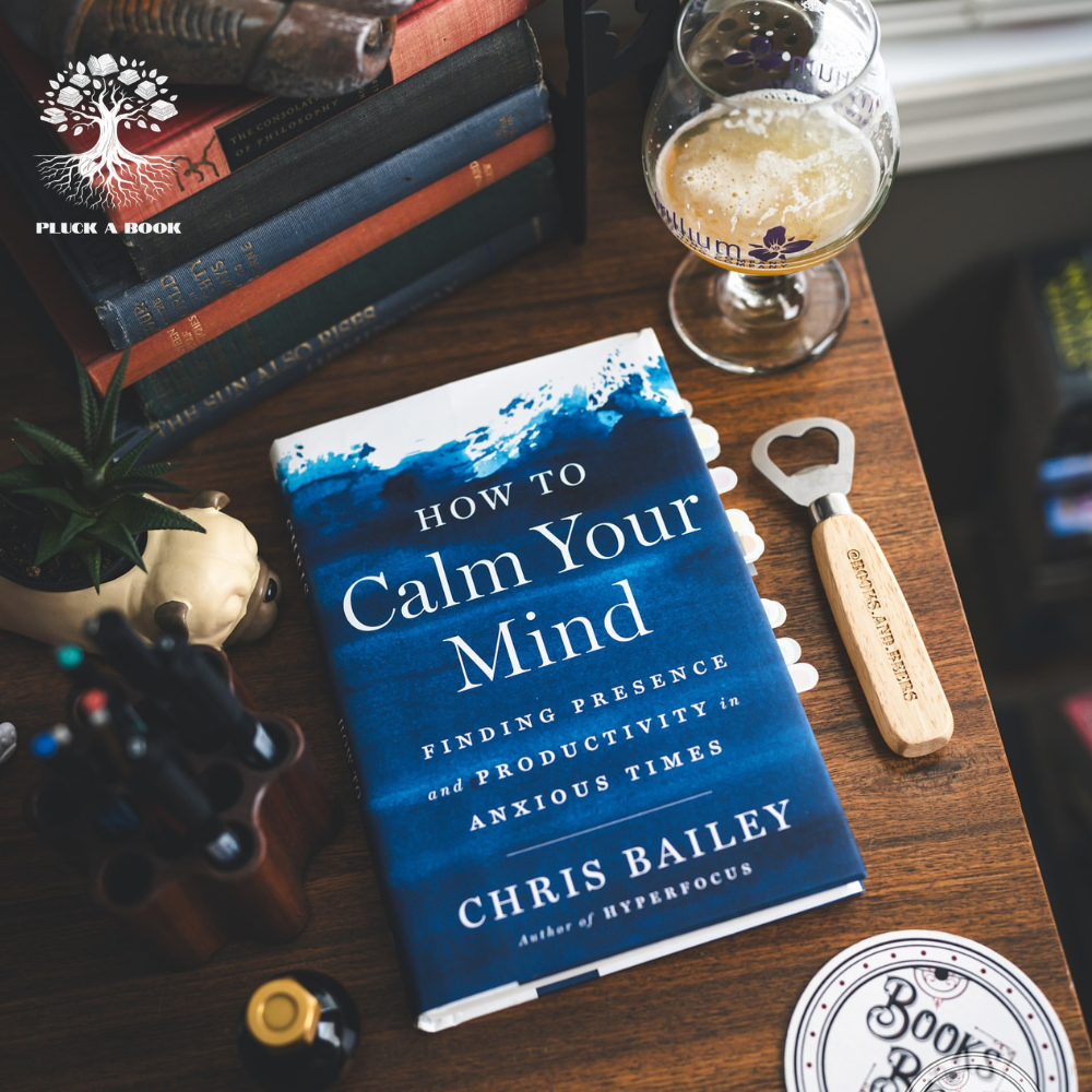 HOW TO CALM YOUR MIND: Finding Productivity In anxious Times by Chris Bailey